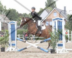 dressage horse Charpentier (German Riding Pony, 2003, from Carlson)