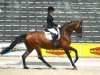 dressage horse Savoir Vivre 3 (Danish Warmblood, 1999, from Schwadroneur)