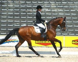 dressage horse Savoir Vivre 3 (Danish Warmblood, 1999, from Schwadroneur)