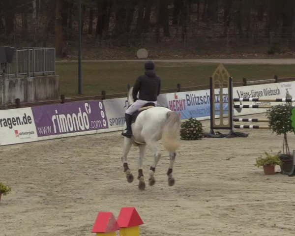 Reitturnier Westergellersen 2022