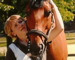 dressage horse Carino 512 (Hessian Warmblood, 2002, from Helenenhof's Carabas)