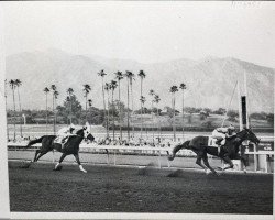 stallion Ole Fols xx (Thoroughbred, 1956, from Tudor Minstrel xx)