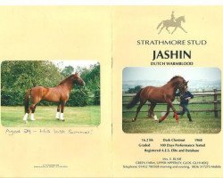 stallion Jashin (KWPN (Royal Dutch Sporthorse), 1968, from Le Faquin xx)