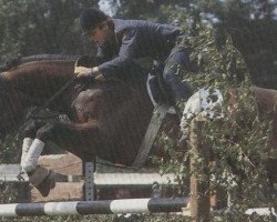 broodmare Chanel (Holsteiner, 1978, from Cor de la Bryère)