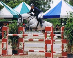 jumper Conzalito (Oldenburg show jumper, 2003, from Concept)