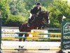 horse Luana 34 (German Warmblood, 2004, from Lake Tahoe)