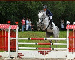 jumper Laterit 7 (Hessian Warmblood, 2004, from Lake Tahoe)