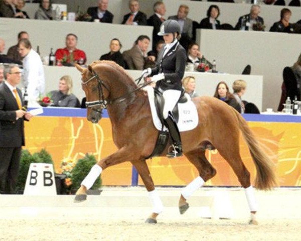 stallion Dorado (KWPN (Royal Dutch Sporthorse), 2008, from Krack C)