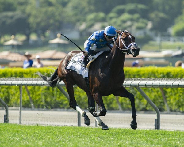 horse Smooth Like Strait xx (Thoroughbred, 2017, from Midnight Lute xx)