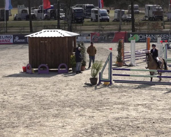 Reitturnier Westergellersen 2022
