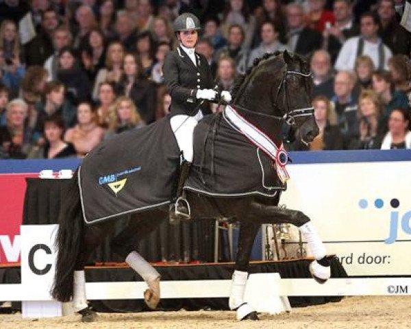 stallion Desperado (KWPN (Royal Dutch Sporthorse), 2008, from Vivaldi)