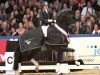 stallion Desperado (KWPN (Royal Dutch Sporthorse), 2008, from Vivaldi)
