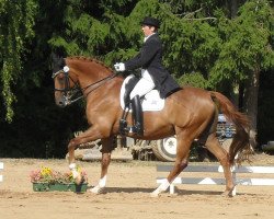 dressage horse Rubydoux (Bavarian, 1998, from Rohdiamant)