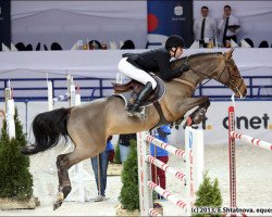 stallion L.b. Carnaval L.b.la Silla (Holsteiner, 2000, from Carthago)