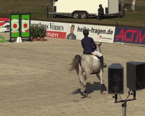 Reitturnier Westergellersen 2022