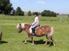 broodmare Lilli (Shetland Pony, 1992, from Jupiter)