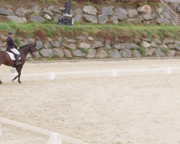 Reitturnier K, St. Margarethen-Stückler 2022