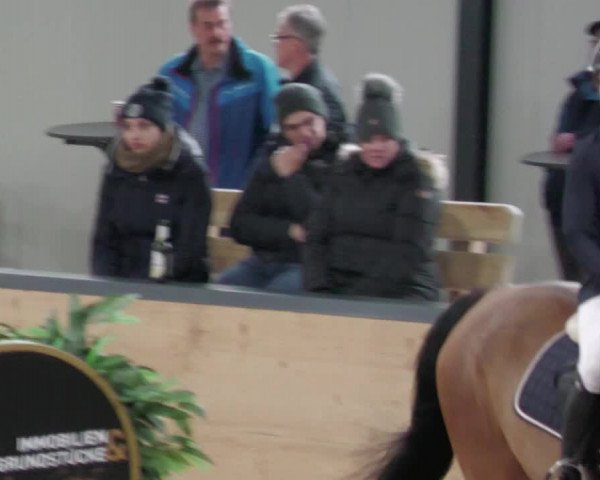 Reitturnier Borken 2022