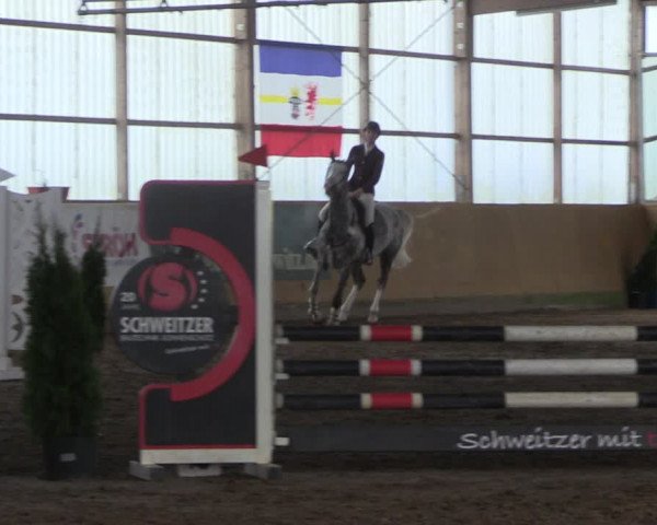 Reitturnier Pausin 2022