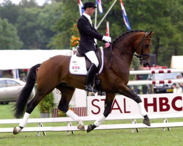 horse Rousseau (Royal Warmblood Studbook of the Netherlands (KWPN), 1998, from Ferro)