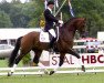 stallion Rousseau (Royal Warmblood Studbook of the Netherlands (KWPN), 1998, from Ferro)