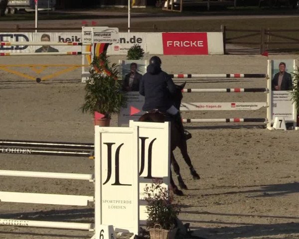 Reitturnier Westergellersen 2022