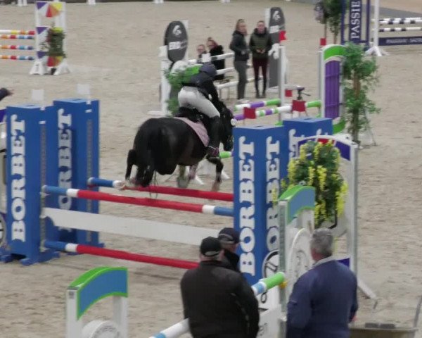 Reitturnier Borken 2022
