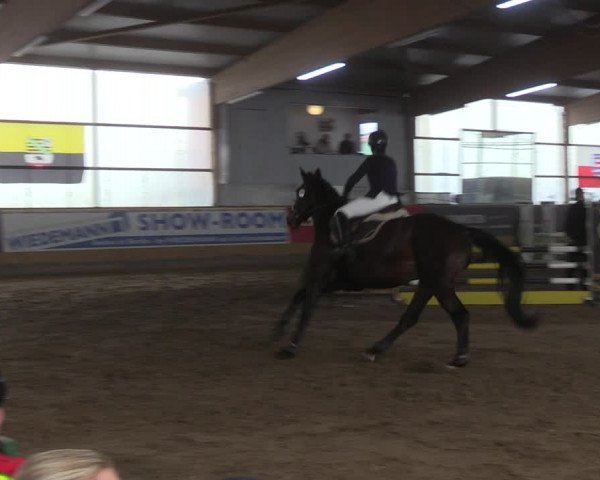 Reitturnier Pausin 2022