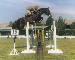 stallion French Buffet xx (Thoroughbred, 1985, from Settlement Day xx)