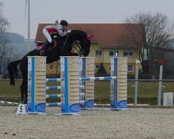 jumper El Jappelou (Hanoverian, 2006, from El Bundy)