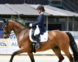 dressage horse Ronay St (Bavarian, 2004, from Rivero II)