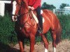 horse Jolie (Belgian Warmblood, 1997, from Jet Set du Rezidal)