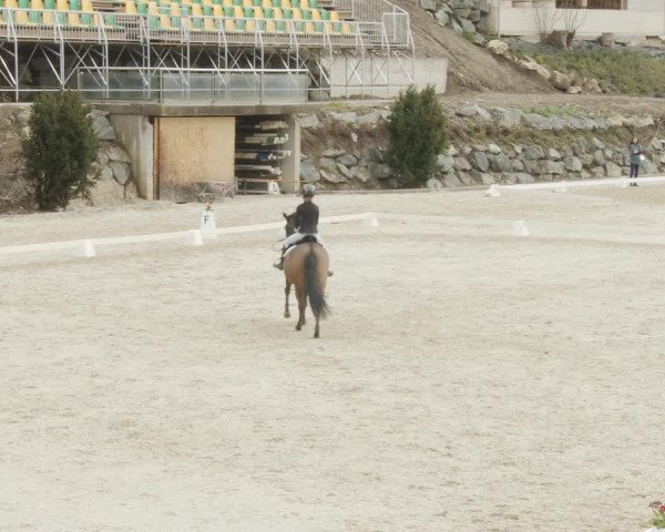 Reitturnier K, St. Margarethen-Stückler 2022