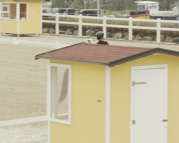 Reitturnier K, St. Margarethen-Stückler 2022