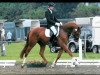 dressage horse Amicelli (Rhinelander, 2007, from Abanos)