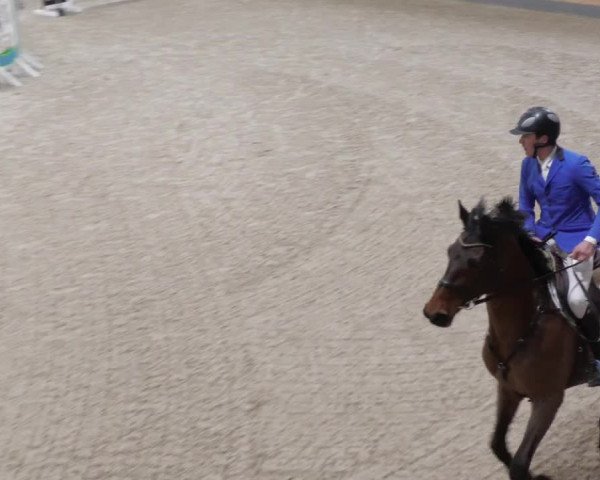 Reitturnier Borken 2022