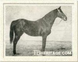 stallion Havresac II xx (Thoroughbred, 1915, from Rabelais xx)