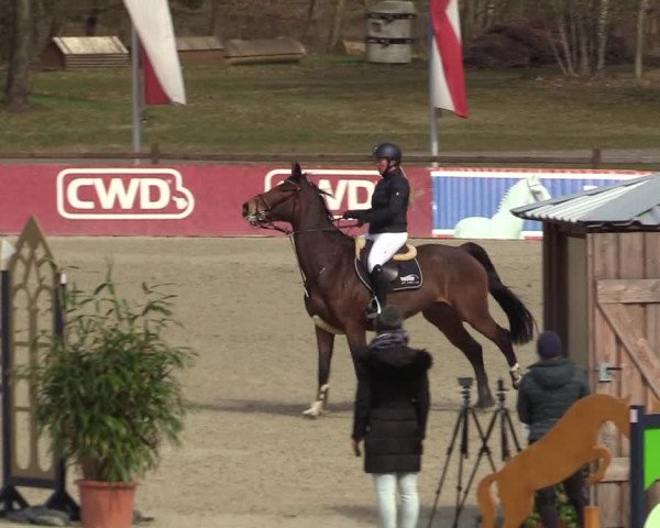 Reitturnier Westergellersen 2022