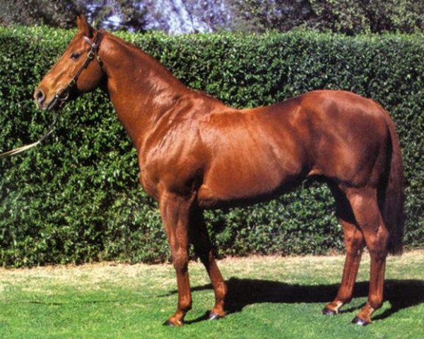 stallion Biscay xx (Thoroughbred, 1965, from Star Kingdom xx)