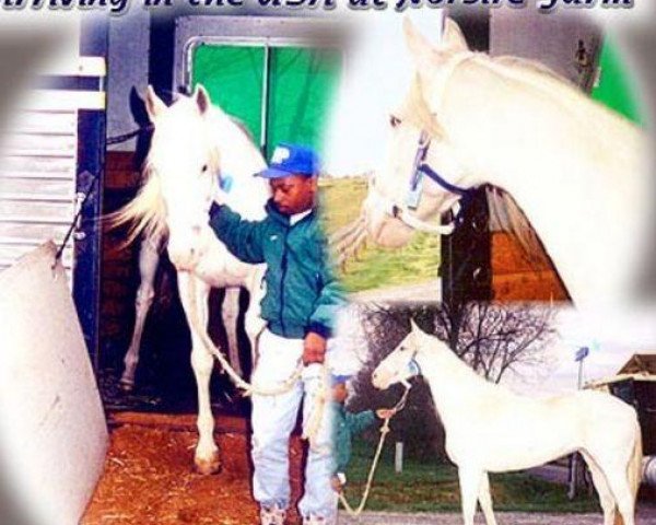 broodmare Our White Lady xx (Thoroughbred, 1991, from Brazen Bay xx)