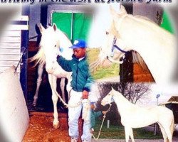 broodmare Our White Lady xx (Thoroughbred, 1991, from Brazen Bay xx)