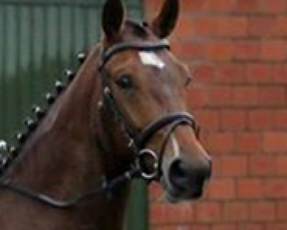 Dressurpferd Freixnet R (Hannoveraner, 2009, von Fürst Piccolo)
