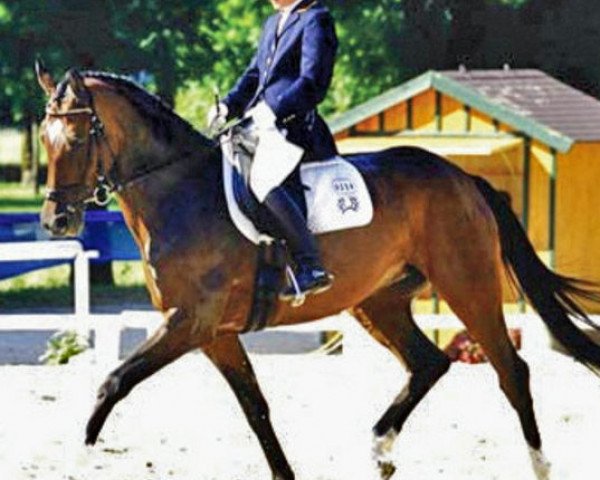 broodmare Urbanita (Trakehner, 1994, from Cornus)