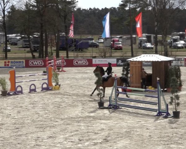 Reitturnier Westergellersen 2022