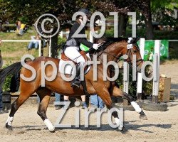 dressage horse Rousha 3 (Westphalian, 2005, from Roh Magic)