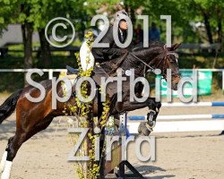 dressage horse Santos 546 (Oldenburg, 1998, from Sandro Song)