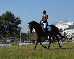 dressage horse La Curazon (Oldenburg, 2002, from Landor S)