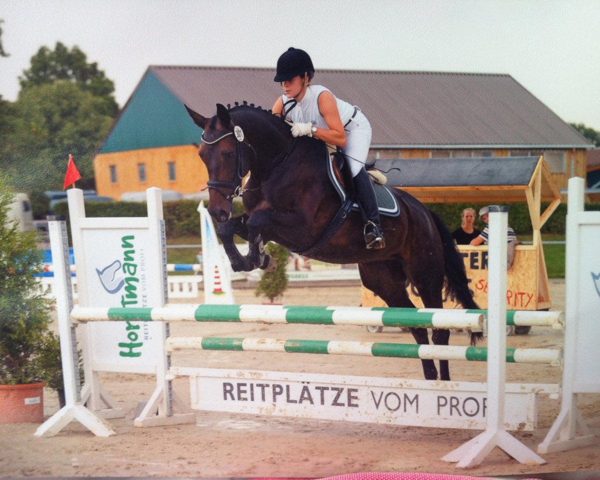 dressage horse Daiquiri 83 (Westphalian, 2008, from Dancing Dynamite)