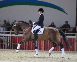 stallion Que Amor Sb (Bavarian, 2008, from Question D'Honneur B)