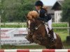 Springpferd Bungee 11 (Welsh Pony (Sek.B), 2000, von Courage)